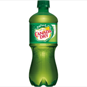 Canada Dry Bottle 20 oz