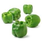 Green Bell Pepper