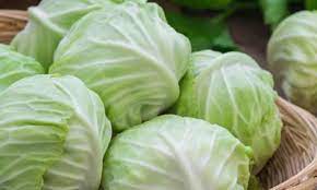 Big Cabbage