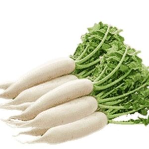 Muli/Radish
