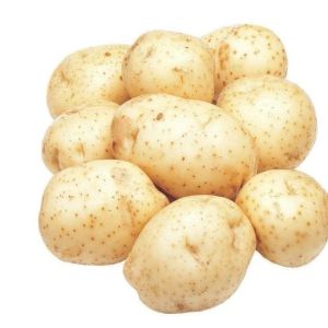 White Potato