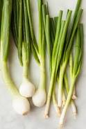 Scallions